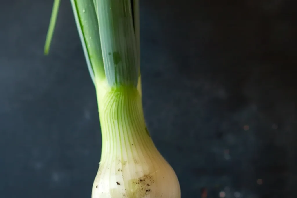 What Part of the Leek Do You Eat for Soup? A Complete Guide